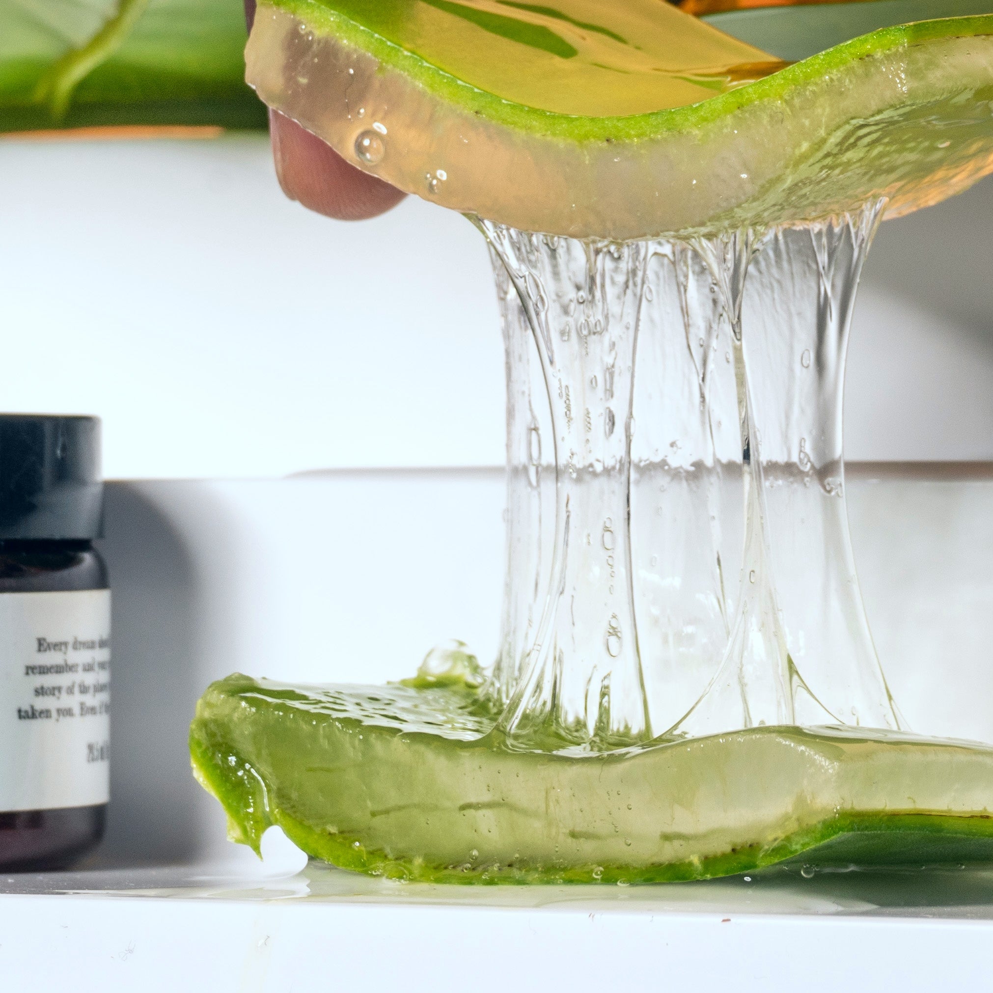 The Aloe Leaf and Why It’s Key In Combating Hyperpigmentation
